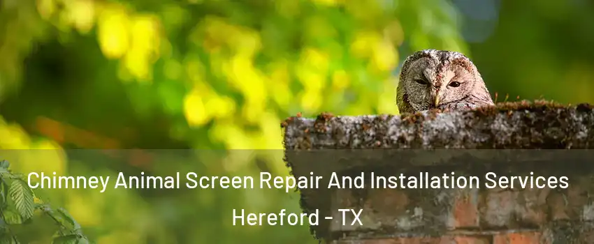  Chimney Animal Screen Repair And Installation Services Hereford - TX