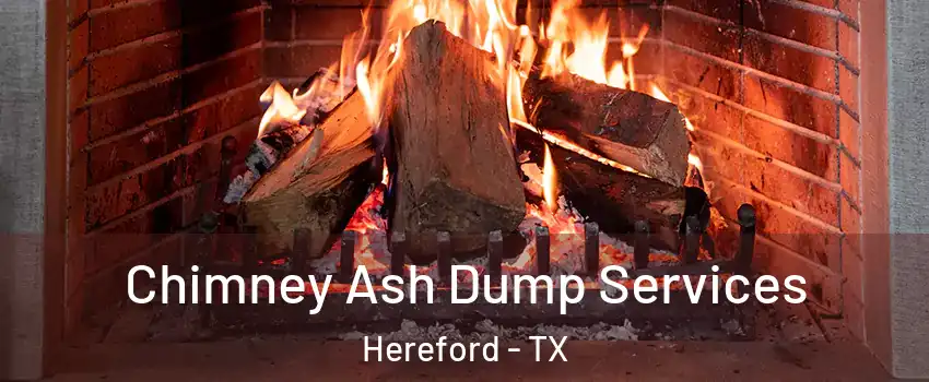  Chimney Ash Dump Services Hereford - TX