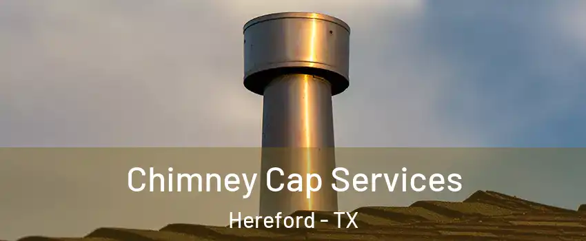  Chimney Cap Services Hereford - TX
