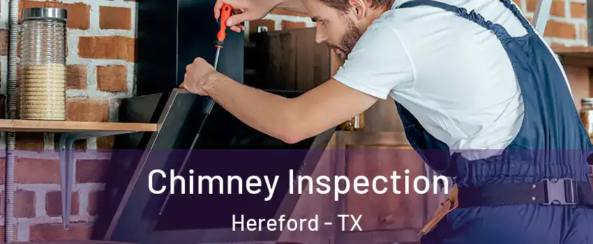  Chimney Inspection Hereford - TX