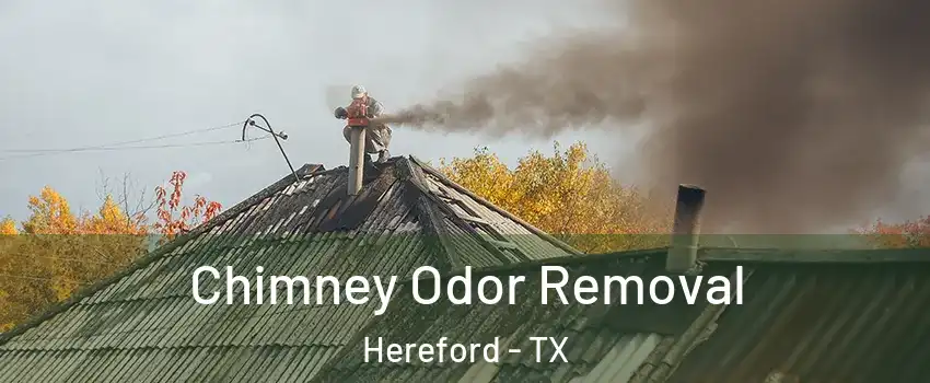  Chimney Odor Removal Hereford - TX