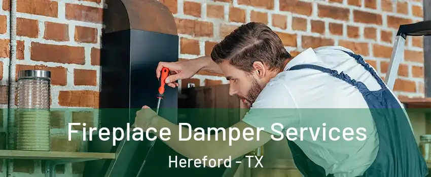  Fireplace Damper Services Hereford - TX