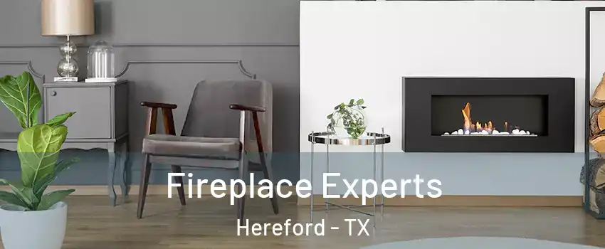  Fireplace Experts Hereford - TX