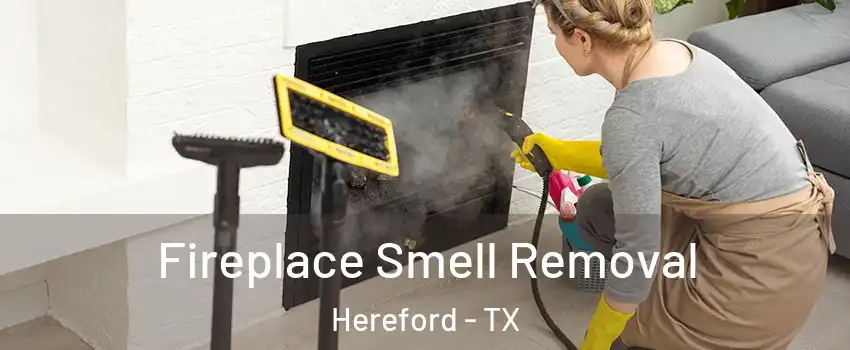  Fireplace Smell Removal Hereford - TX