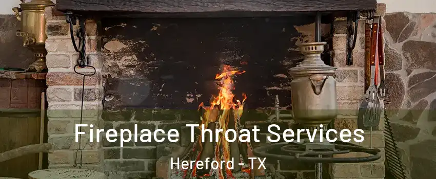  Fireplace Throat Services Hereford - TX