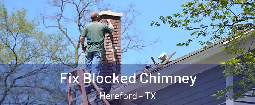  Fix Blocked Chimney Hereford - TX