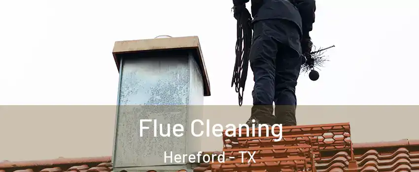  Flue Cleaning Hereford - TX