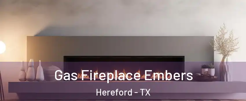  Gas Fireplace Embers Hereford - TX