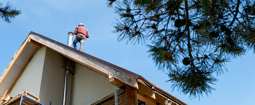 Birds Removal Contractors from Chimney in Hereford, TX