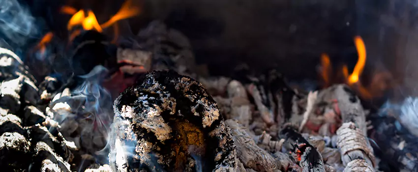 Creosote Removal Experts in Hereford, TX