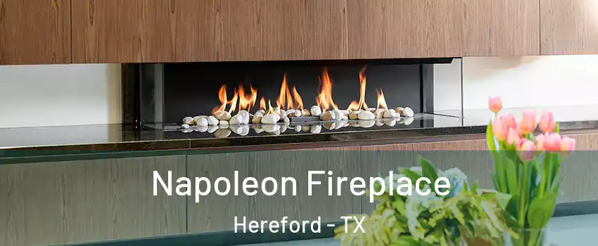  Napoleon Fireplace Hereford - TX