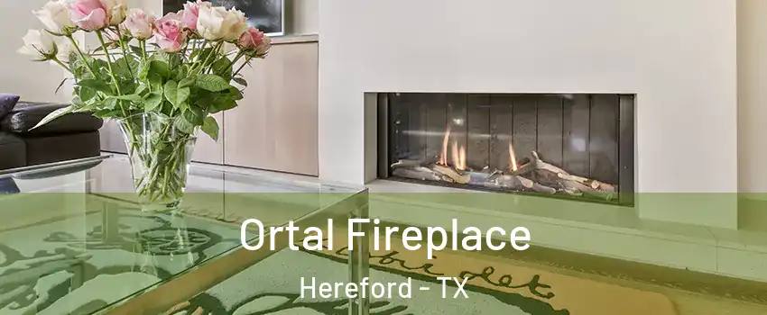  Ortal Fireplace Hereford - TX