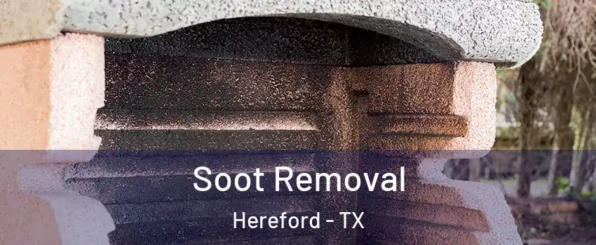  Soot Removal Hereford - TX